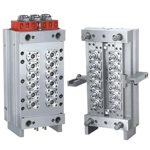 Multi-cavity Mold 